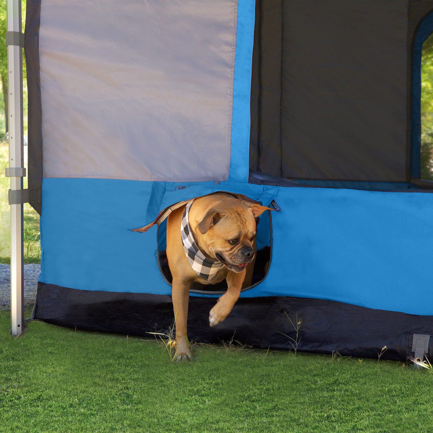 E-Z UP Camping Cube 6.4 – Converts 10' Canopy into Camping Tent, Royal Blue